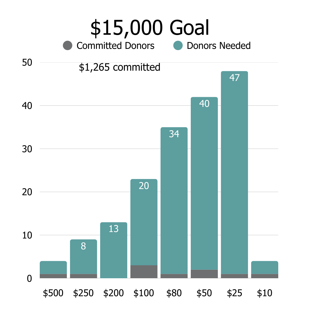 Curasmiles Donation Tracker Results