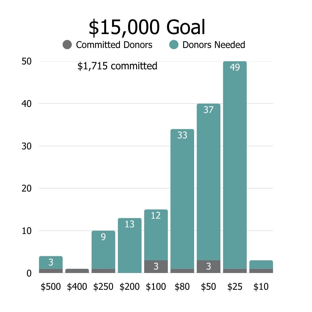 Curasmiles Donation Tracker Results